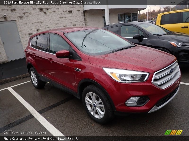 Ruby Red / Chromite Gray/Charcoal Black 2019 Ford Escape SE 4WD