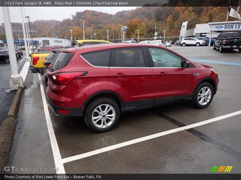 Ruby Red / Chromite Gray/Charcoal Black 2019 Ford Escape SE 4WD