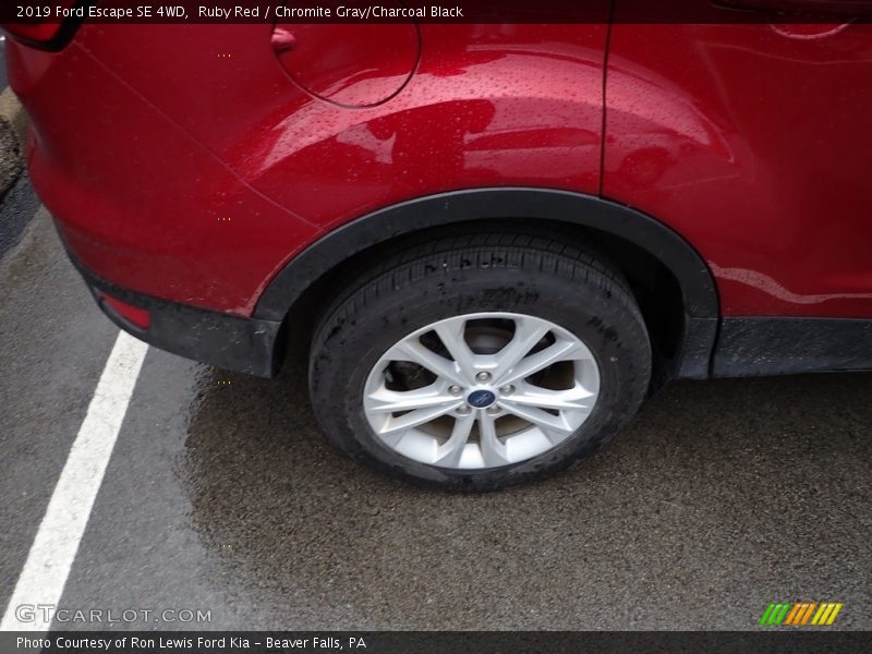 Ruby Red / Chromite Gray/Charcoal Black 2019 Ford Escape SE 4WD