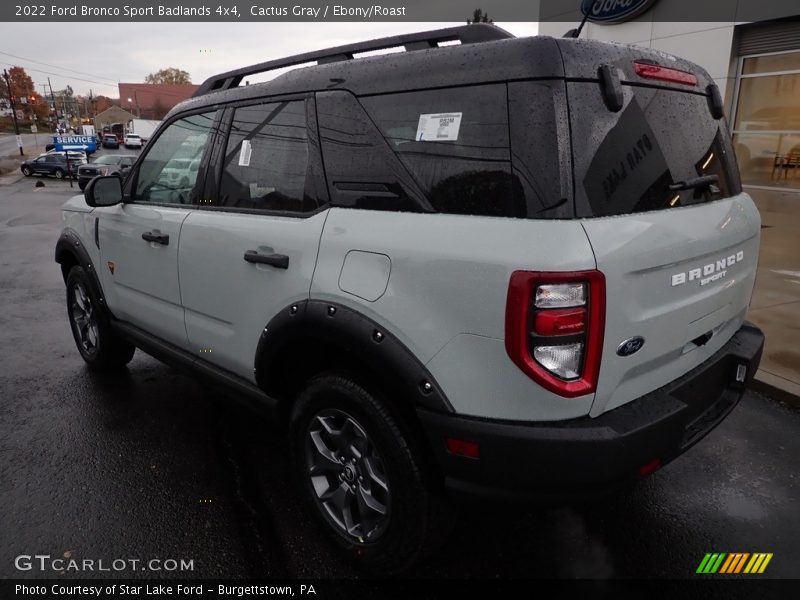 Cactus Gray / Ebony/Roast 2022 Ford Bronco Sport Badlands 4x4