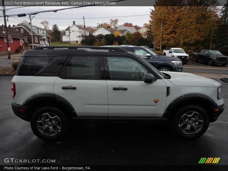Cactus Gray / Ebony/Roast 2022 Ford Bronco Sport Badlands 4x4