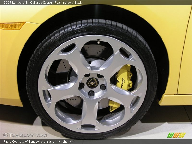Pearl Yellow / Black 2005 Lamborghini Gallardo Coupe
