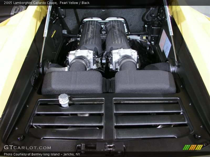 Pearl Yellow / Black 2005 Lamborghini Gallardo Coupe