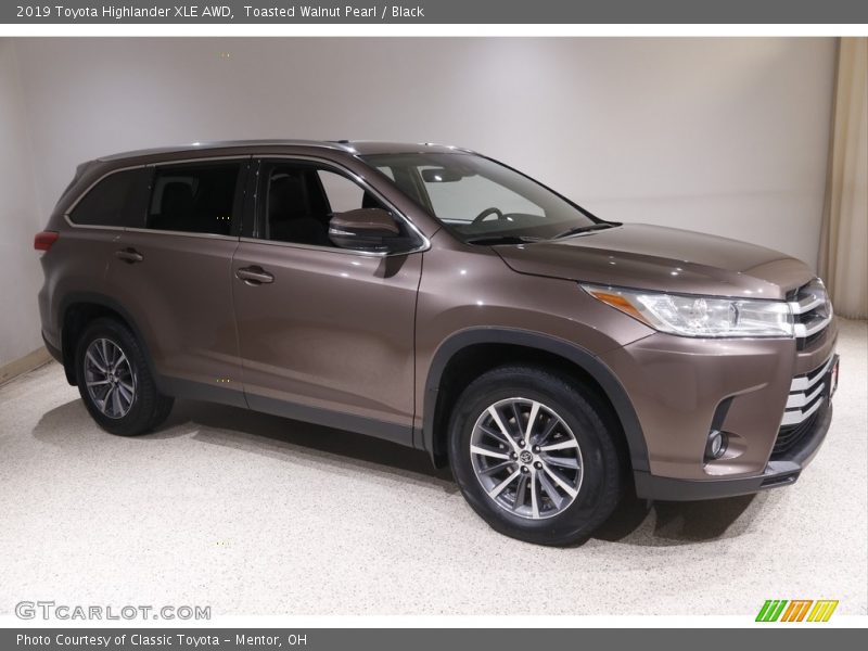 Toasted Walnut Pearl / Black 2019 Toyota Highlander XLE AWD