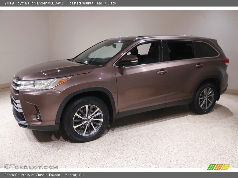 Toasted Walnut Pearl / Black 2019 Toyota Highlander XLE AWD