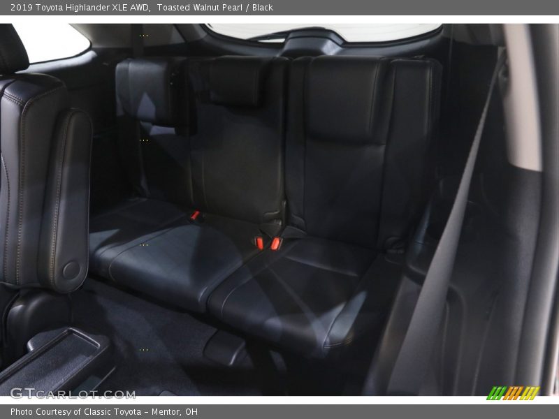 Toasted Walnut Pearl / Black 2019 Toyota Highlander XLE AWD