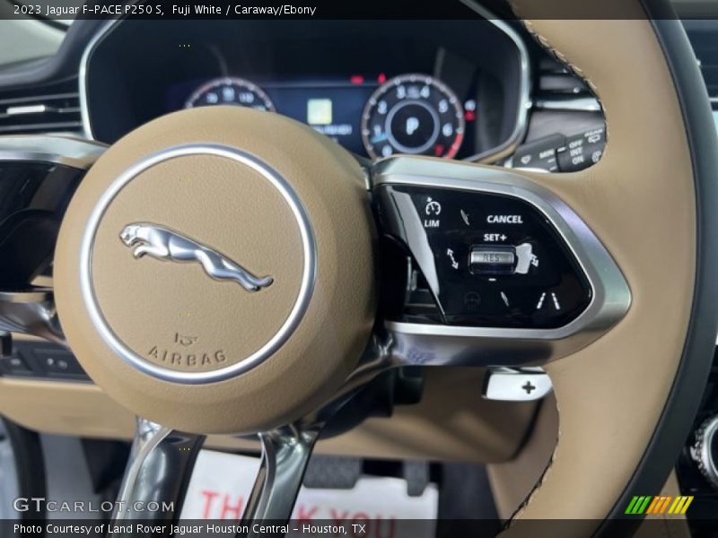 Fuji White / Caraway/Ebony 2023 Jaguar F-PACE P250 S