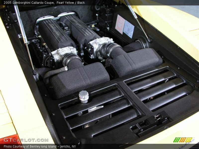 Pearl Yellow / Black 2005 Lamborghini Gallardo Coupe