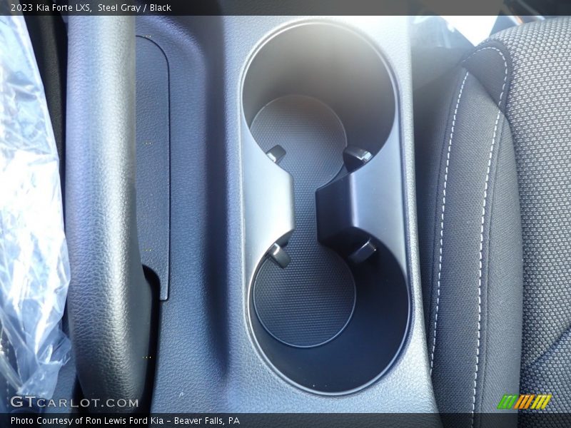 Steel Gray / Black 2023 Kia Forte LXS