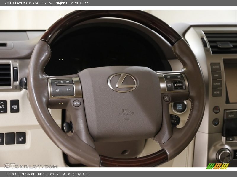  2018 GX 460 Luxury Steering Wheel