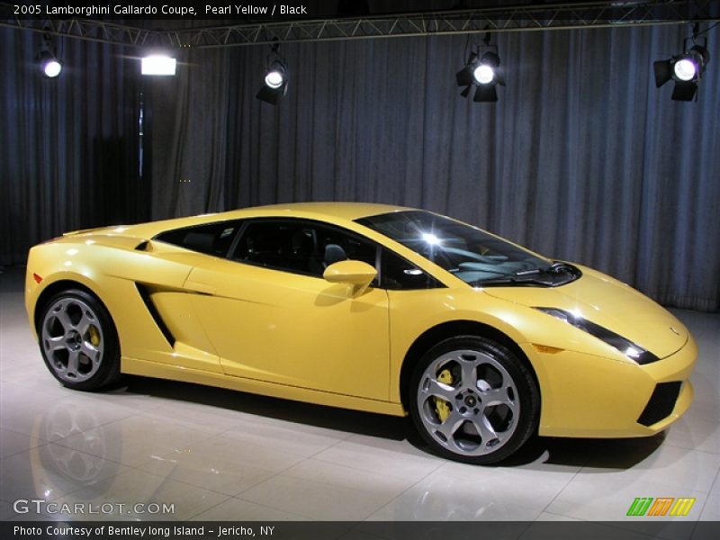 Pearl Yellow / Black 2005 Lamborghini Gallardo Coupe