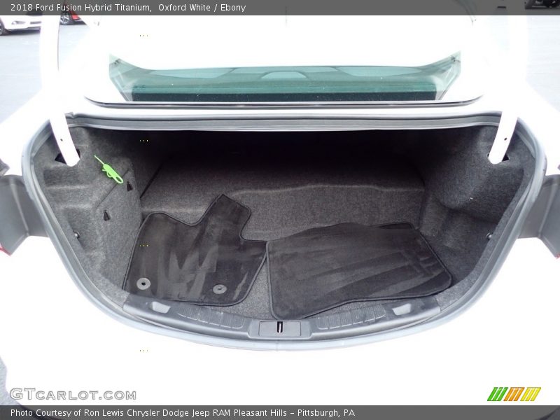  2018 Fusion Hybrid Titanium Trunk