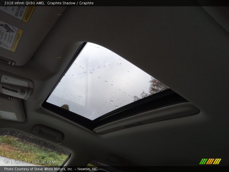 Graphite Shadow / Graphite 2018 Infiniti QX80 AWD