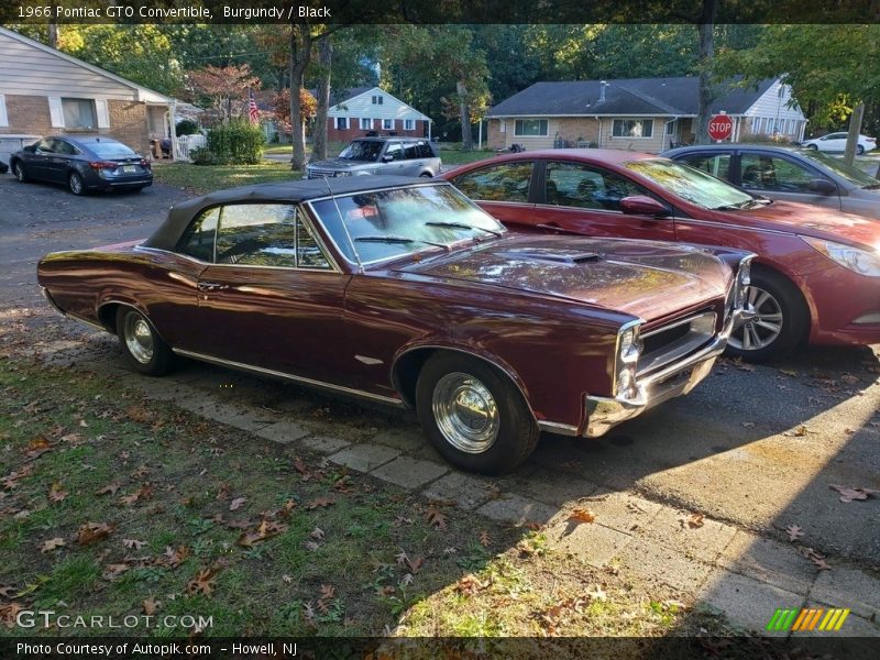 Burgundy / Black 1966 Pontiac GTO Convertible
