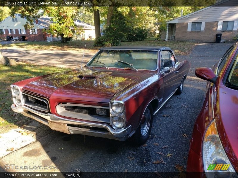 Burgundy / Black 1966 Pontiac GTO Convertible