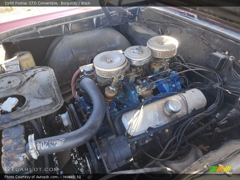 Burgundy / Black 1966 Pontiac GTO Convertible