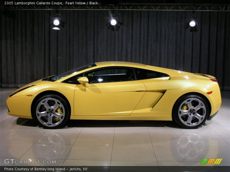 Pearl Yellow / Black 2005 Lamborghini Gallardo Coupe