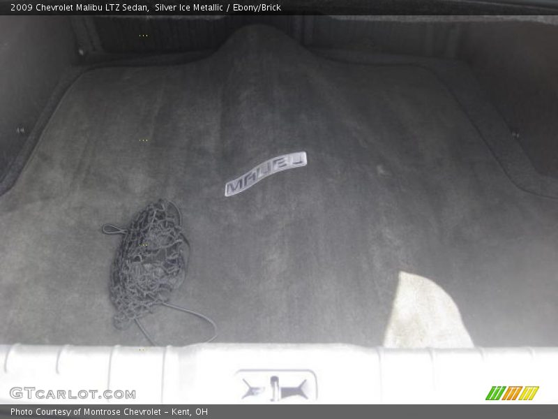 Silver Ice Metallic / Ebony/Brick 2009 Chevrolet Malibu LTZ Sedan