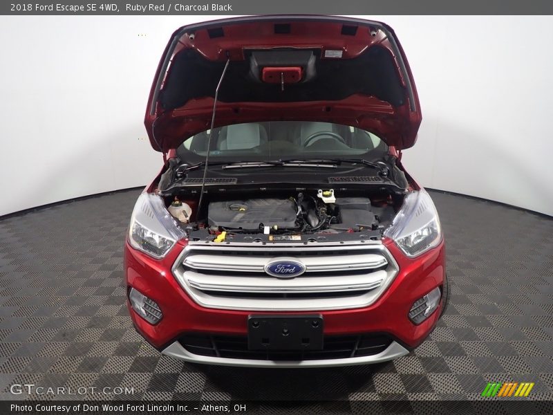 Ruby Red / Charcoal Black 2018 Ford Escape SE 4WD