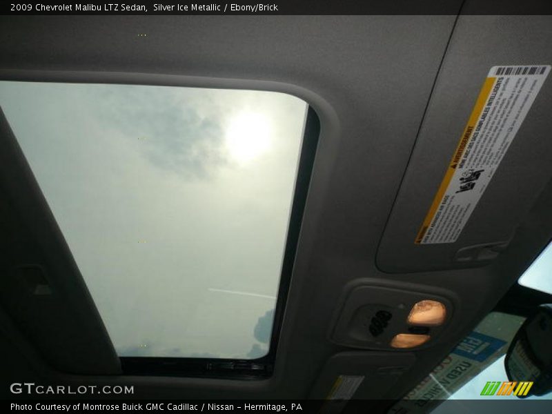 Silver Ice Metallic / Ebony/Brick 2009 Chevrolet Malibu LTZ Sedan