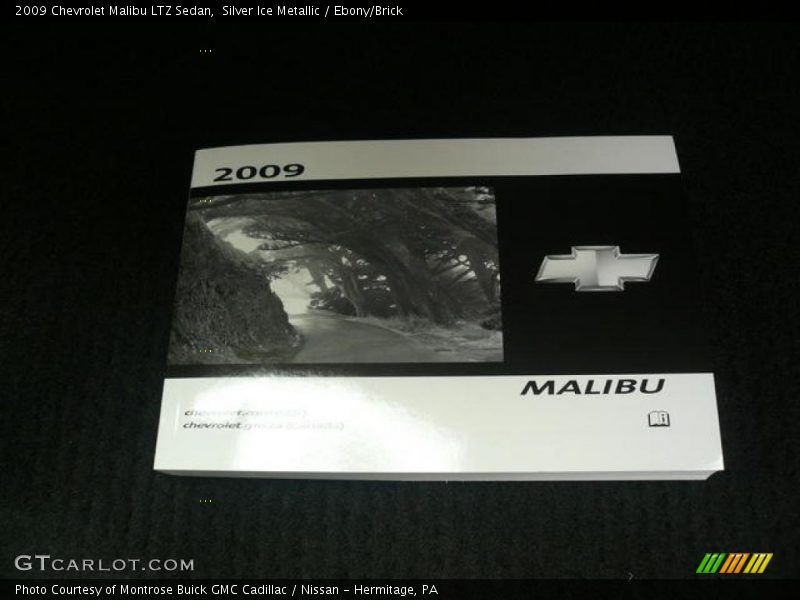 Silver Ice Metallic / Ebony/Brick 2009 Chevrolet Malibu LTZ Sedan