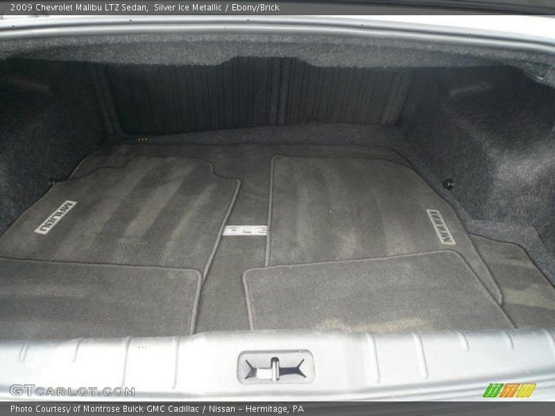 Silver Ice Metallic / Ebony/Brick 2009 Chevrolet Malibu LTZ Sedan