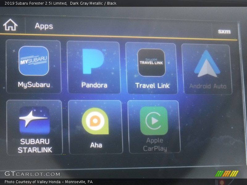 Dark Gray Metallic / Black 2019 Subaru Forester 2.5i Limited