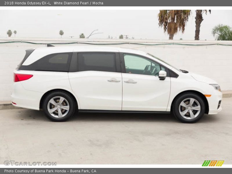 White Diamond Pearl / Mocha 2018 Honda Odyssey EX-L