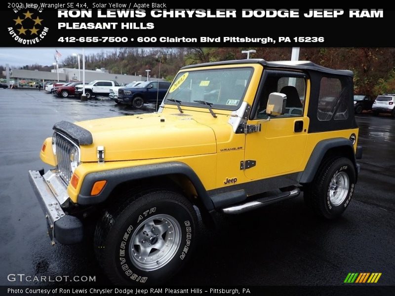 Solar Yellow / Agate Black 2002 Jeep Wrangler SE 4x4
