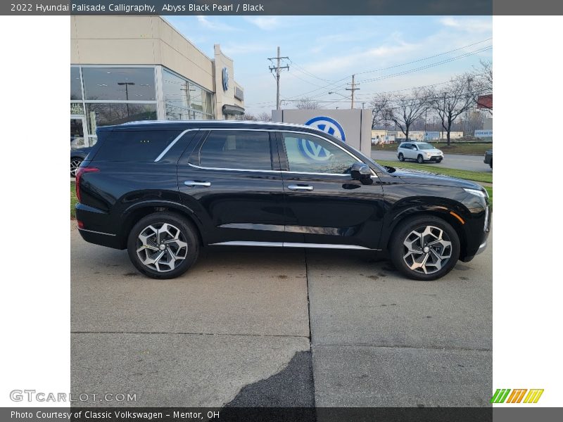Abyss Black Pearl / Black 2022 Hyundai Palisade Calligraphy