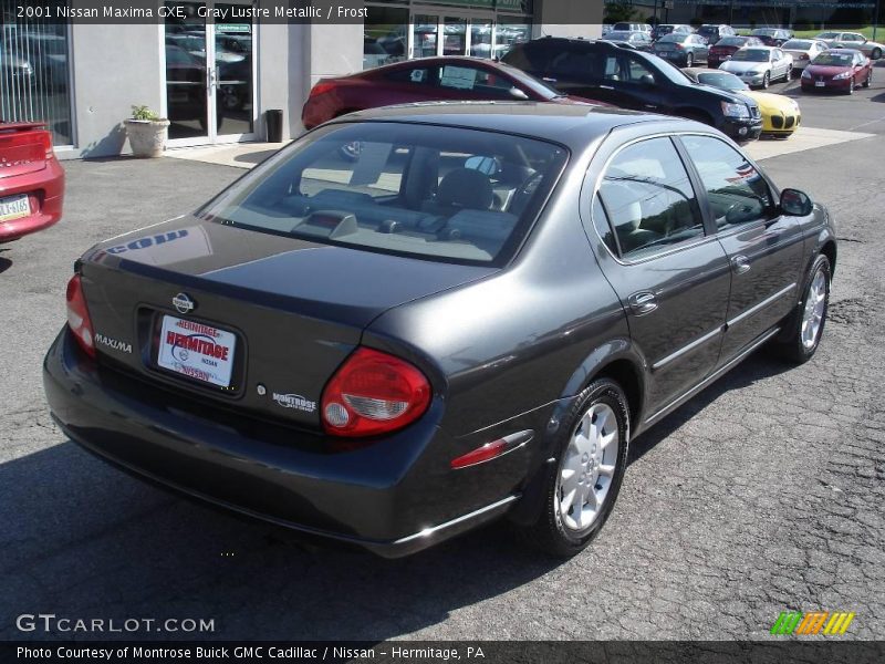 Gray Lustre Metallic / Frost 2001 Nissan Maxima GXE