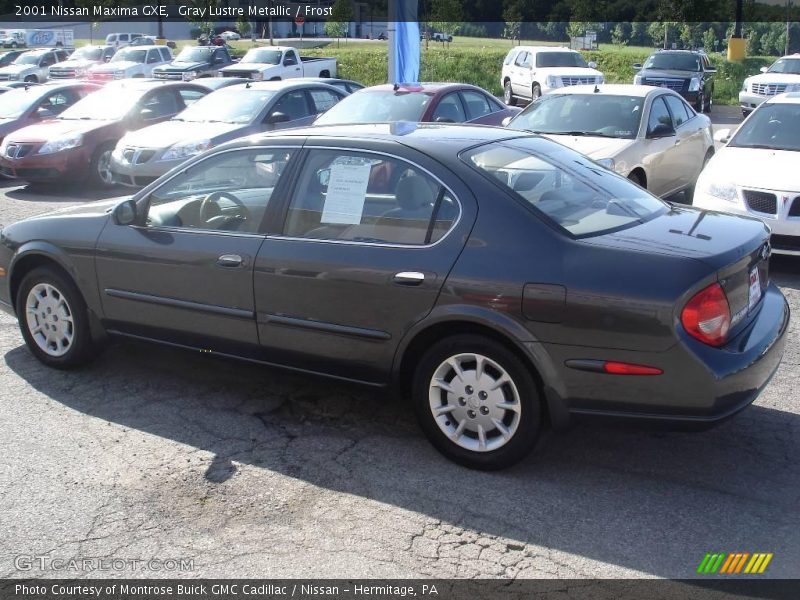 Gray Lustre Metallic / Frost 2001 Nissan Maxima GXE