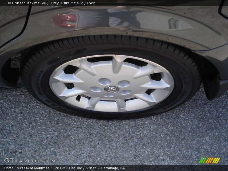 Gray Lustre Metallic / Frost 2001 Nissan Maxima GXE