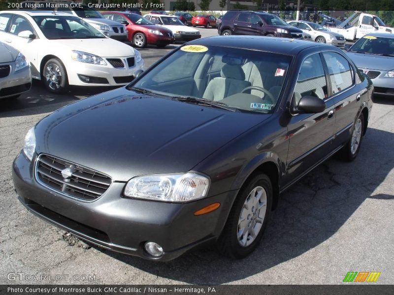 Gray Lustre Metallic / Frost 2001 Nissan Maxima GXE