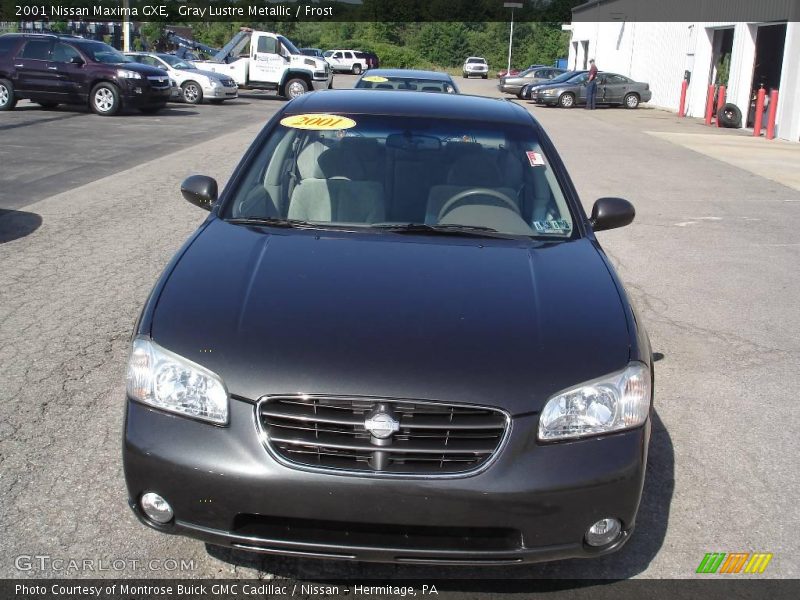 Gray Lustre Metallic / Frost 2001 Nissan Maxima GXE