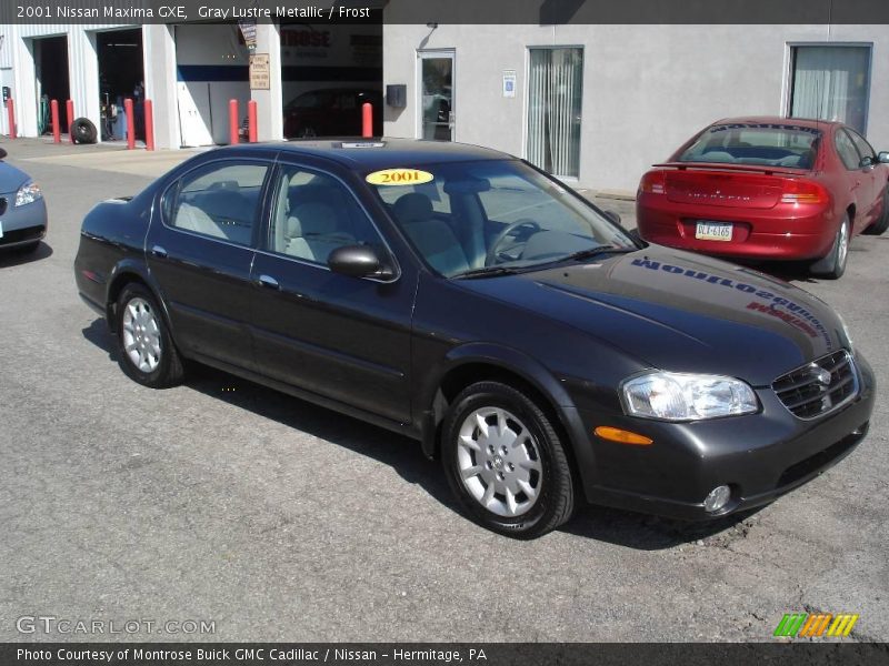 Gray Lustre Metallic / Frost 2001 Nissan Maxima GXE