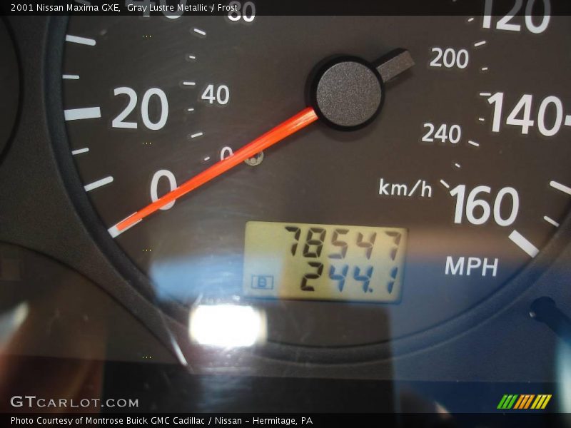Gray Lustre Metallic / Frost 2001 Nissan Maxima GXE