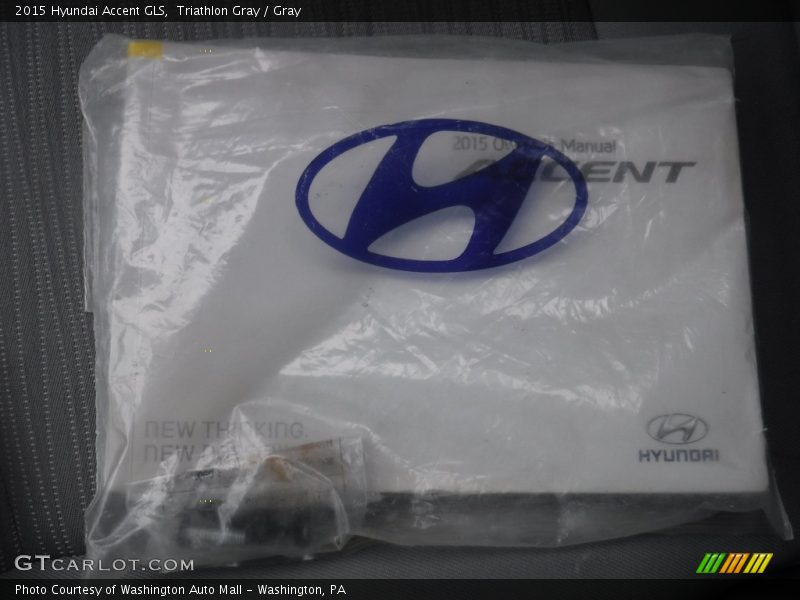Triathlon Gray / Gray 2015 Hyundai Accent GLS