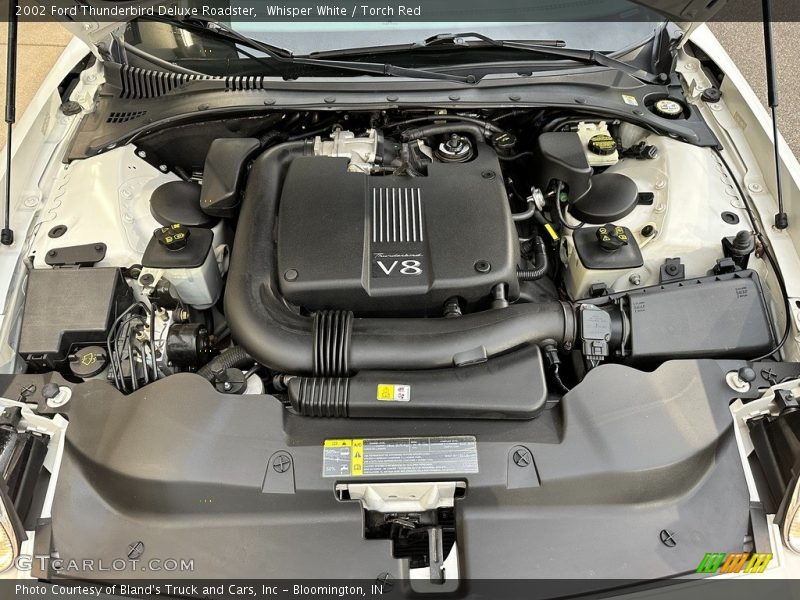 Whisper White / Torch Red 2002 Ford Thunderbird Deluxe Roadster