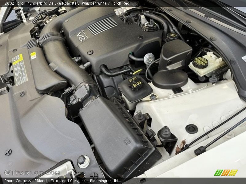 Whisper White / Torch Red 2002 Ford Thunderbird Deluxe Roadster