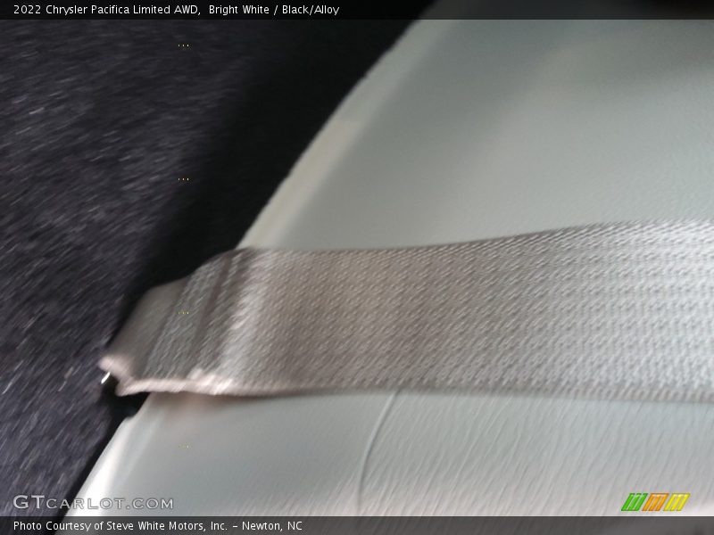 Bright White / Black/Alloy 2022 Chrysler Pacifica Limited AWD