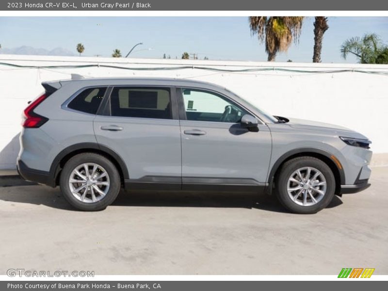 2023 CR-V EX-L Urban Gray Pearl