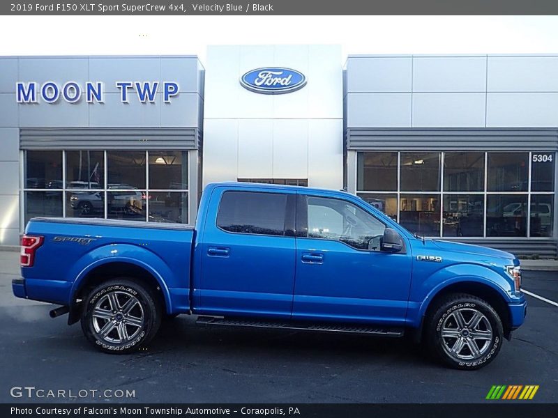 Velocity Blue / Black 2019 Ford F150 XLT Sport SuperCrew 4x4