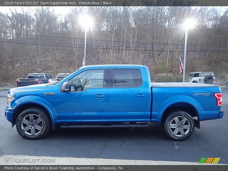 Velocity Blue / Black 2019 Ford F150 XLT Sport SuperCrew 4x4