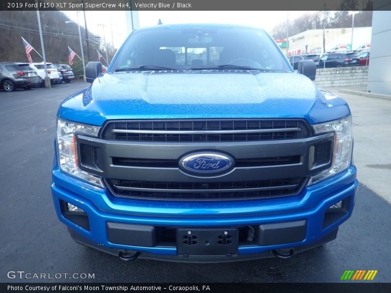 Velocity Blue / Black 2019 Ford F150 XLT Sport SuperCrew 4x4