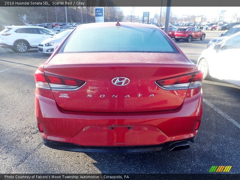 Scarlet Red / Gray 2019 Hyundai Sonata SEL