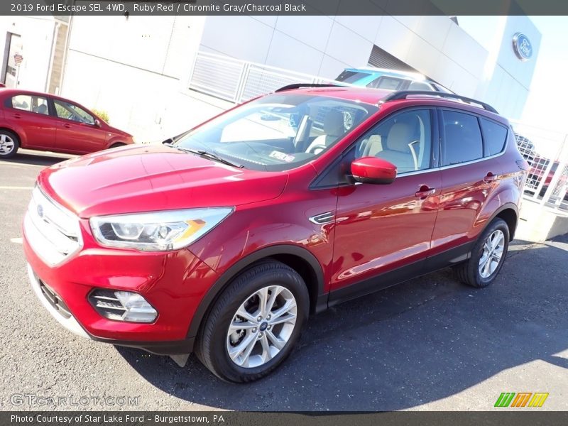 Ruby Red / Chromite Gray/Charcoal Black 2019 Ford Escape SEL 4WD