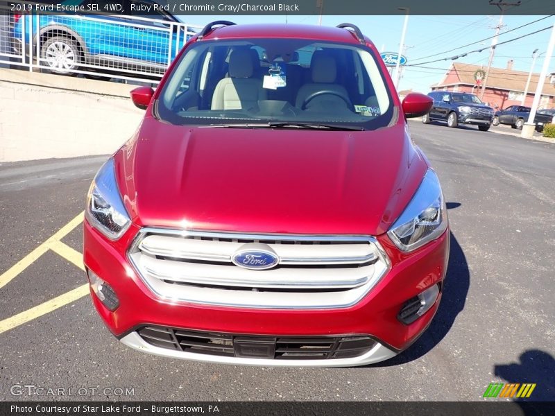 Ruby Red / Chromite Gray/Charcoal Black 2019 Ford Escape SEL 4WD