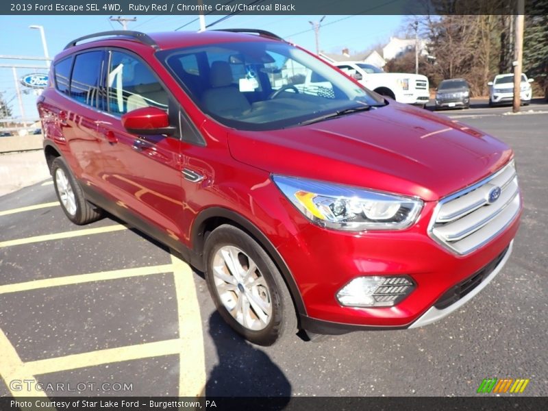 Ruby Red / Chromite Gray/Charcoal Black 2019 Ford Escape SEL 4WD