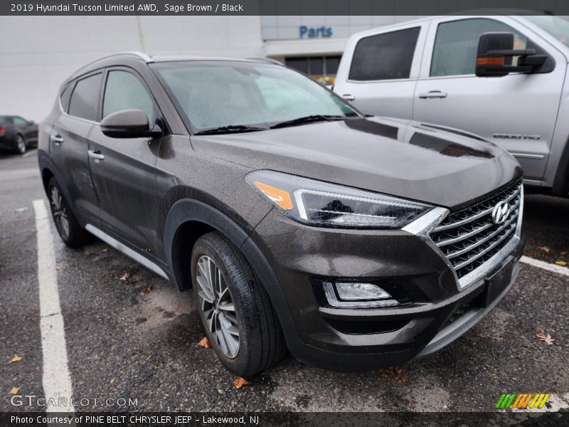 Sage Brown / Black 2019 Hyundai Tucson Limited AWD